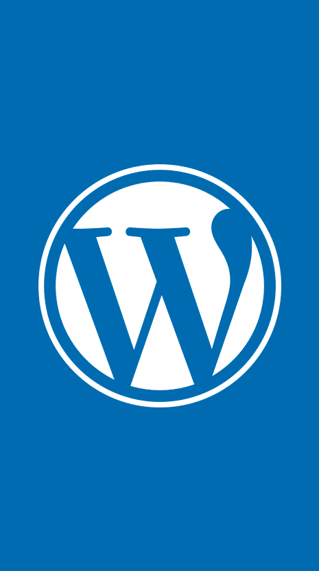 Actualizaciones de WordPress. ¿Necesitas hacerlas?.